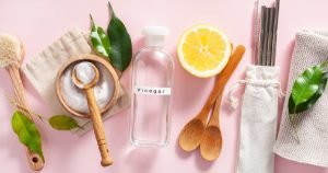 10 Natural Ways to Clean the Litter Box in 2026
